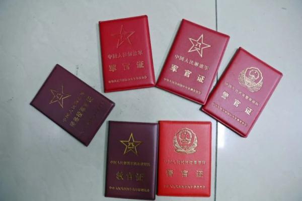 平台排行榜官方